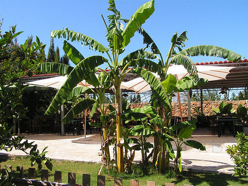 Agriturismo Agave Fertilia Exteriör bild